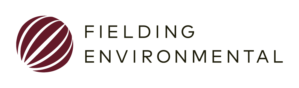 Fielding Globe-WordmarkCombo Burgundy RGB