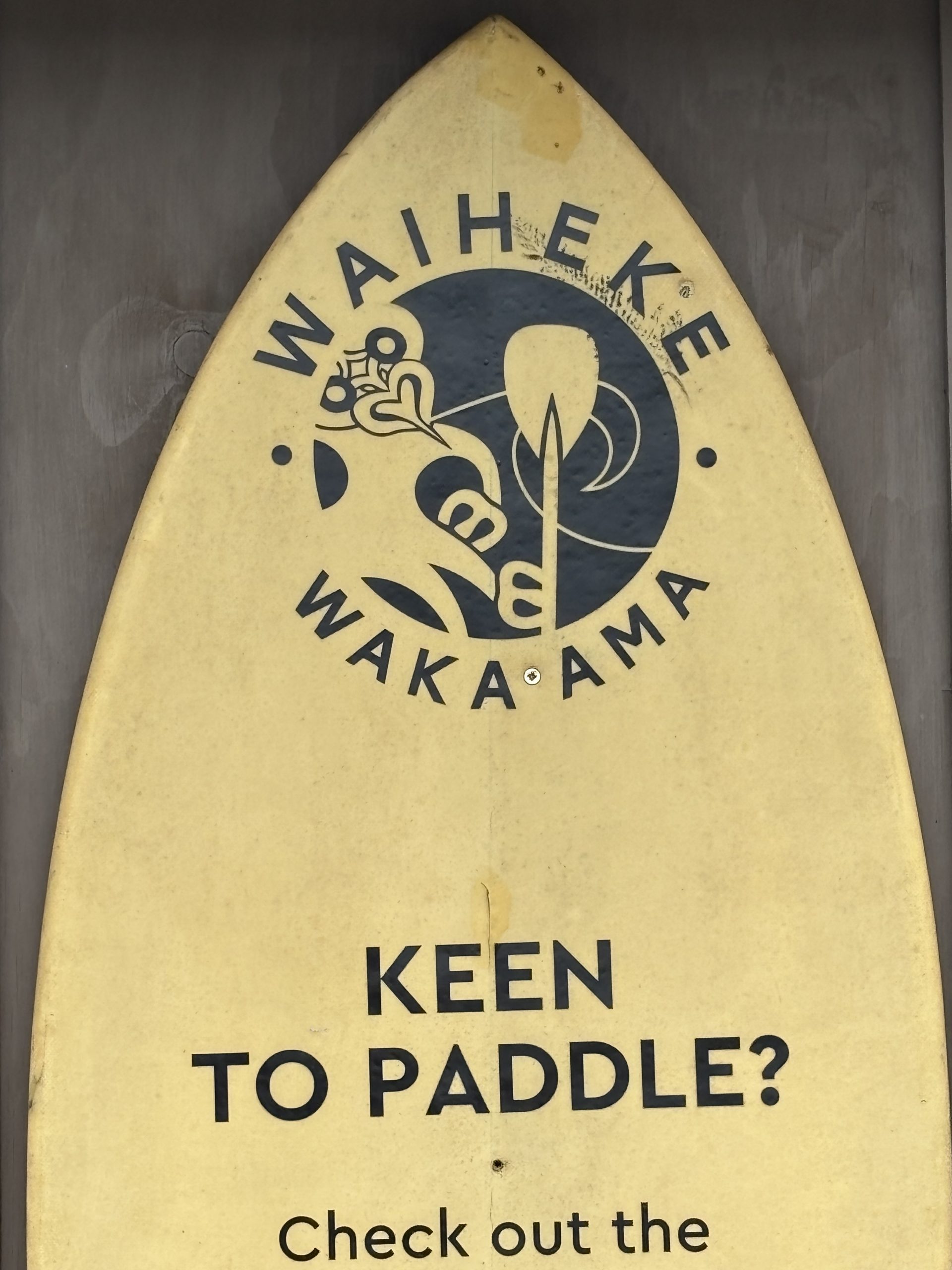Paula-Paddle-scaled
